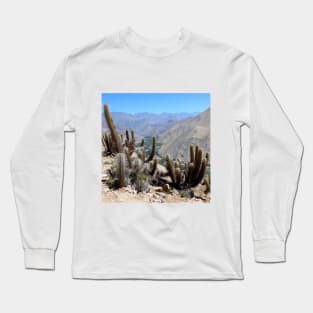 SCENERY 93 - Summer Desert Cactus Plant Landscape Wilderness Long Sleeve T-Shirt